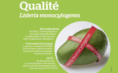 Process Alimentaire – Dossier Listeria du numéro d’octobre 2023