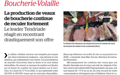 La production de veaux de boucherie continue de reculer