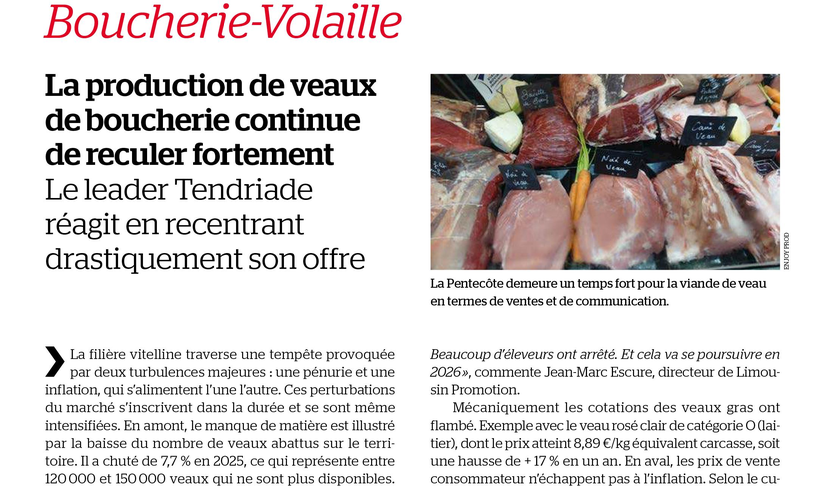 La production de veaux de boucherie continue de reculer