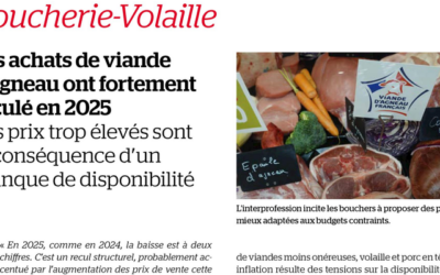 Agneau : quand la pénurie fait grimper la note